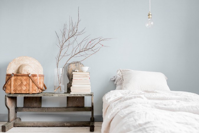 Picture of Stella - 27029