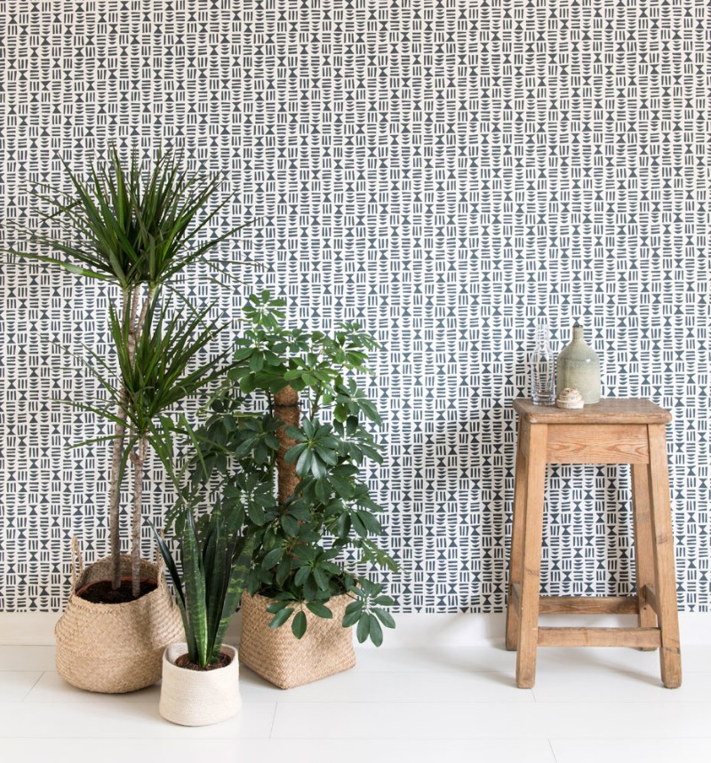 Bild på Heiroglyph Lead - MISP1241