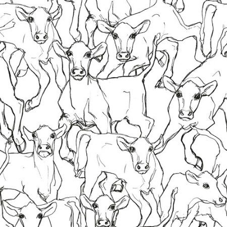 Picture of Iltavilli - 14106