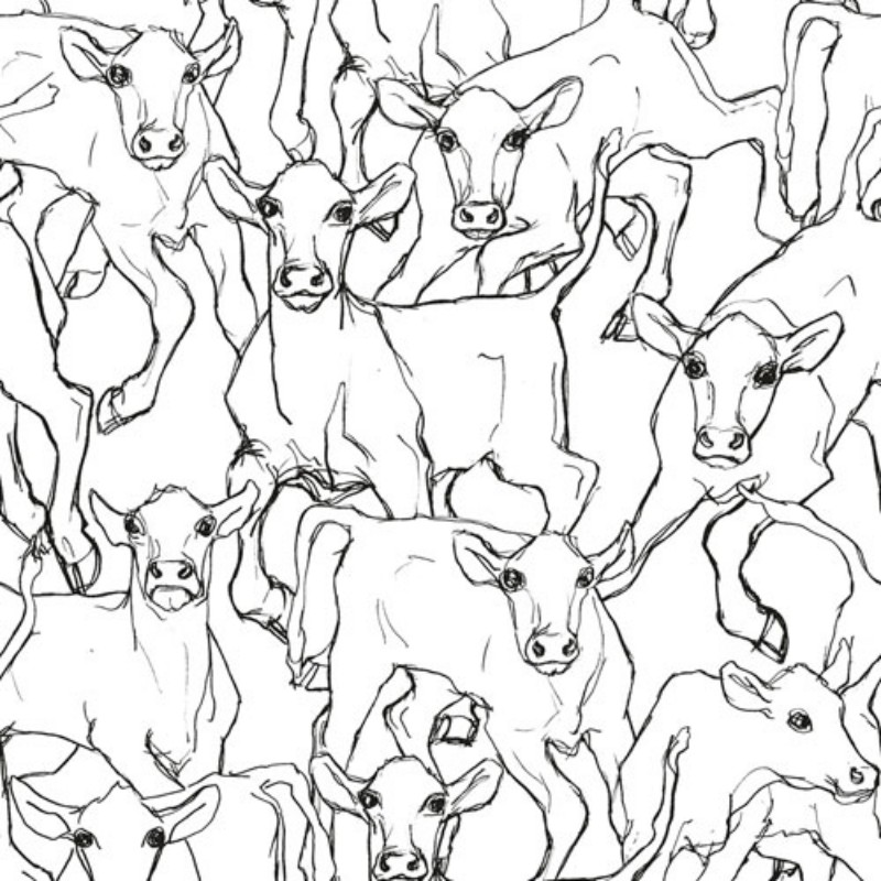 Bild på Iltavilli - 14106