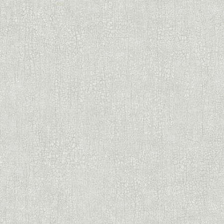 Picture of Raku - 3108