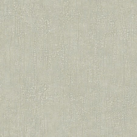 Picture of Raku - 3107