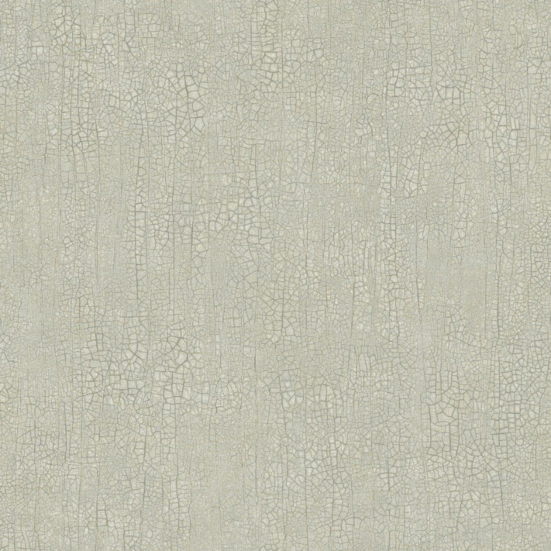 Picture of Raku - 3107