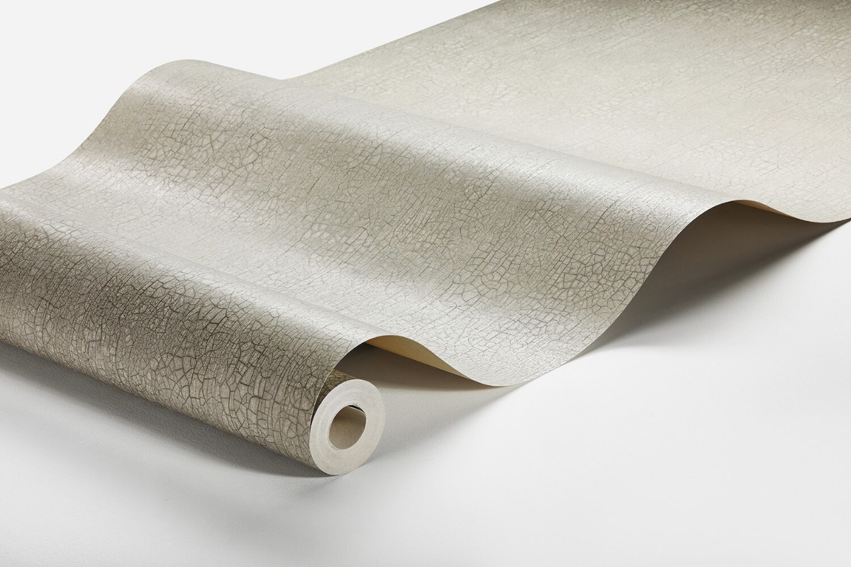 Picture of Raku - 3107