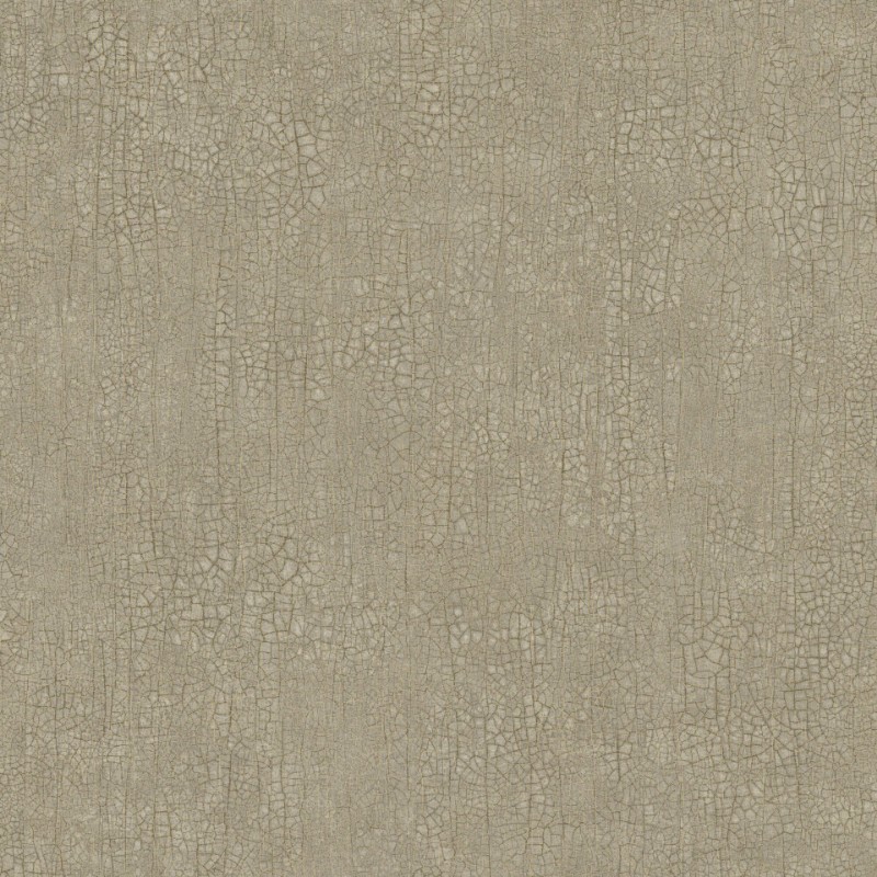 Picture of Raku - 3106