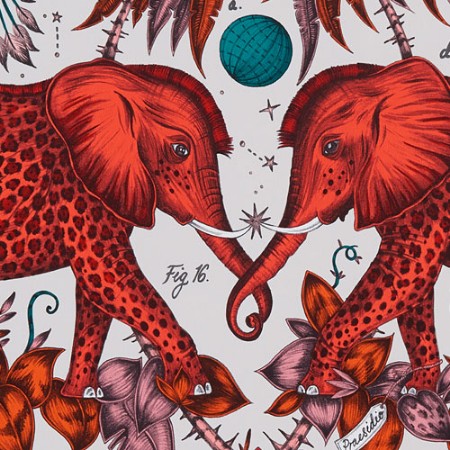 Picture of Zambezi - W012101