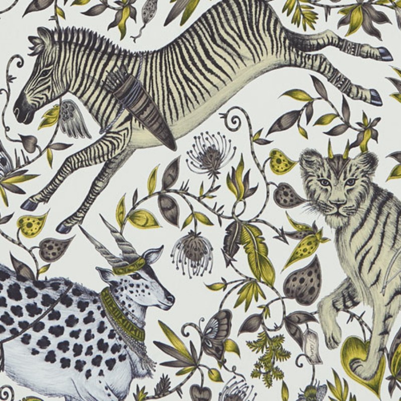 Picture of Protea - W011904