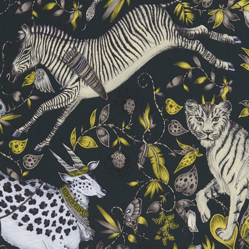 Picture of Protea - W011902