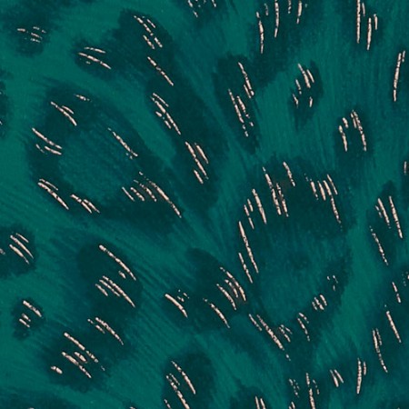 Bild på Felis - W011511