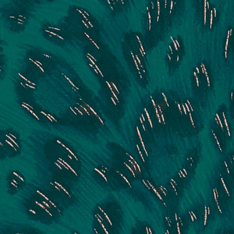 Picture of Felis - W011511