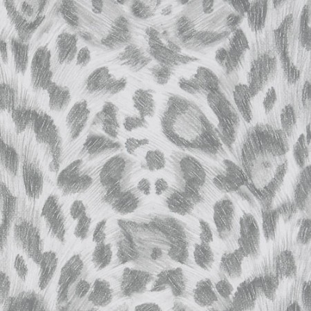 Bild på Felis - W011509