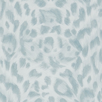 Picture of Felis - W011504