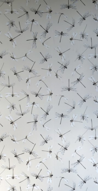 Picture of Dragonfly Natural - WP2166