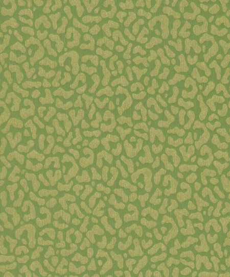 Image de Cassata - 77369