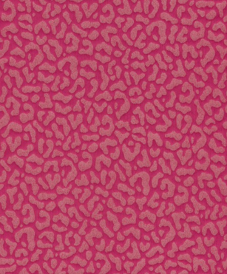 Image de Cassata - 77383