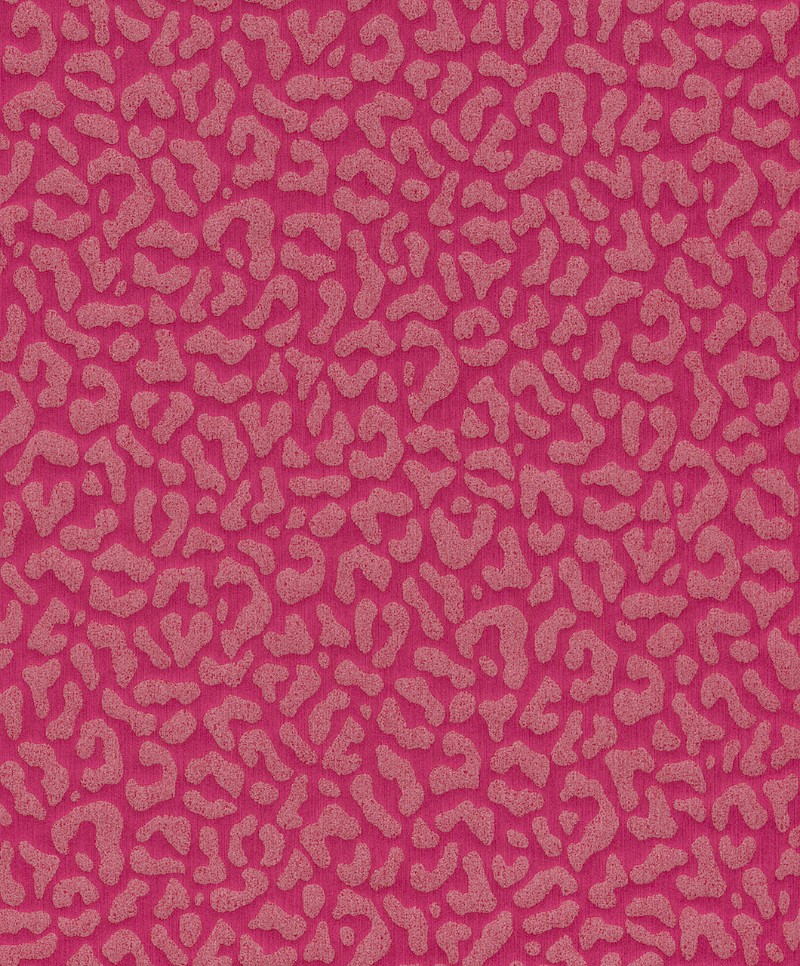 Picture of Cassata - 77383