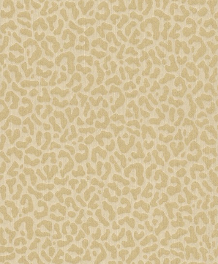 Image de Cassata - 77437