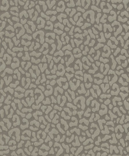 Image de Cassata - 77444