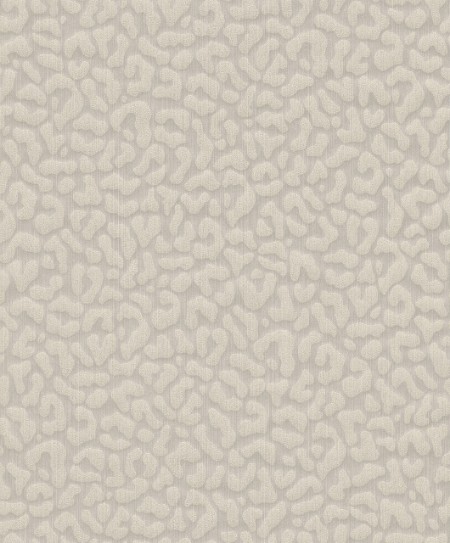 Image de Cassata - 77468