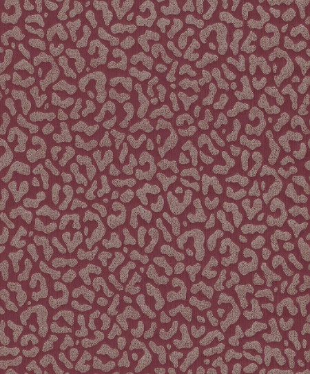 Image de Cassata - 77475