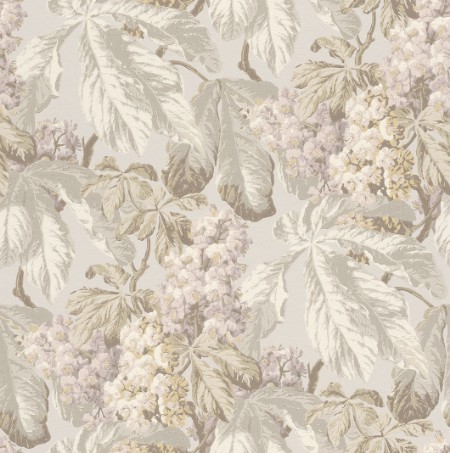 Image de Cassata - 256504