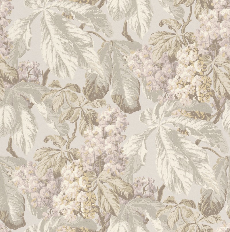 Picture of Cassata - 256504