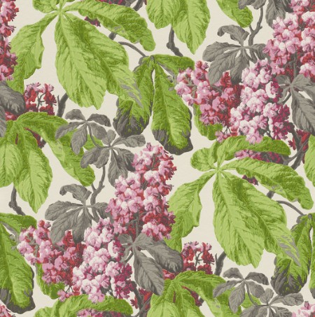 Image de Cassata - 256528