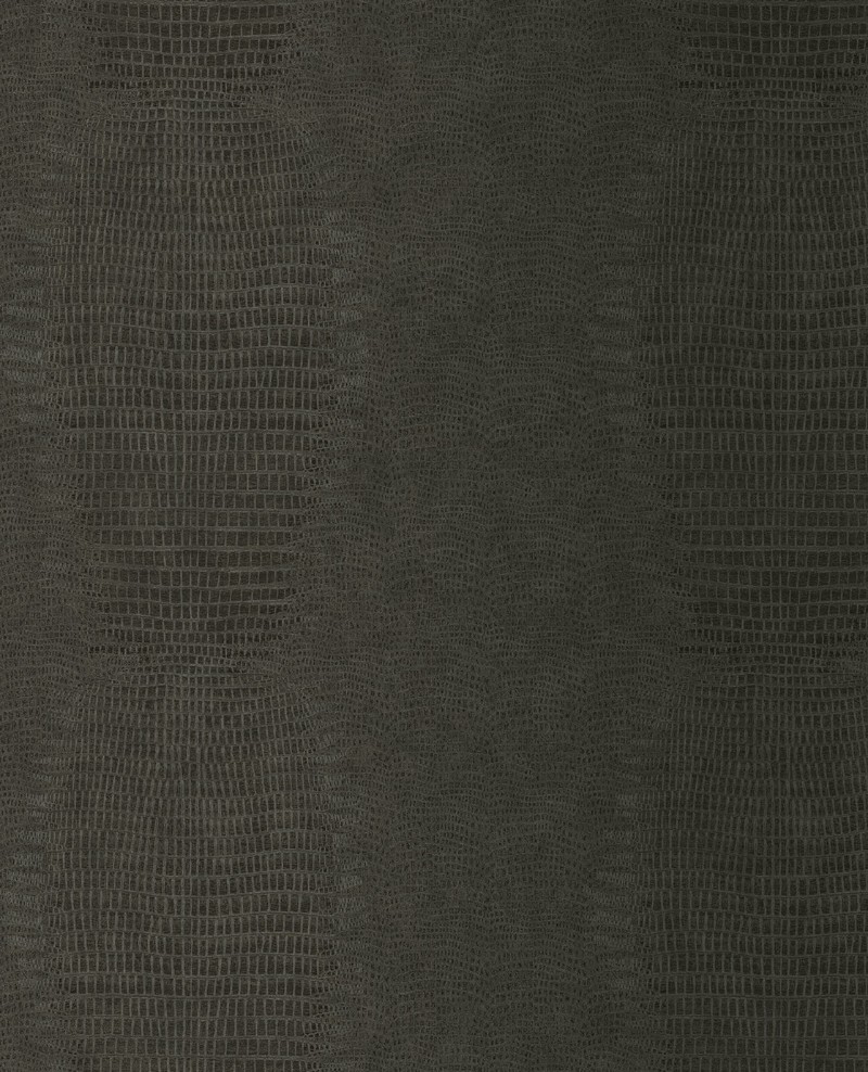 Picture of Skin - 300572