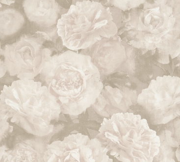 Bild på New Studio - 37402-3