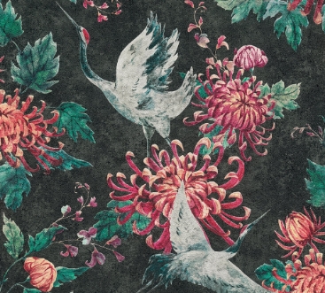 Picture of New Studio - 37464-3