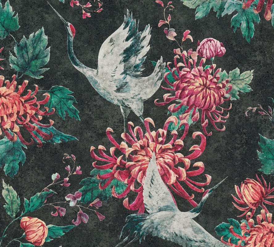 Image de New Studio - 37464-3