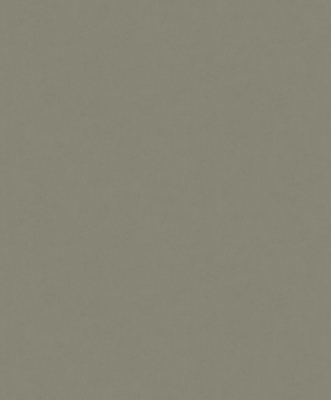 Afbeeldingen van Nordic Elegance - 630424