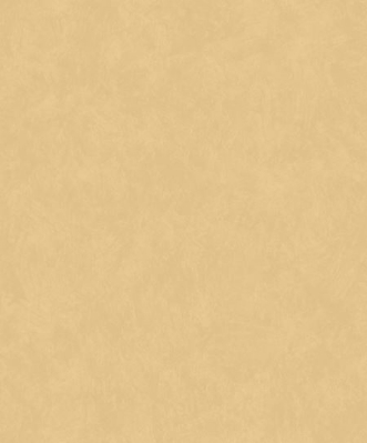 Afbeeldingen van Nordic Elegance - 630535