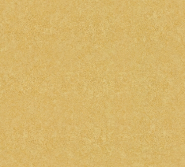 Bild på Versace IV - 93582-3