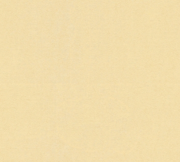 Afbeeldingen van Versace IV - 37050-7