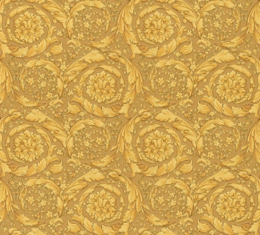 Afbeeldingen van Versace IV - 93583-3