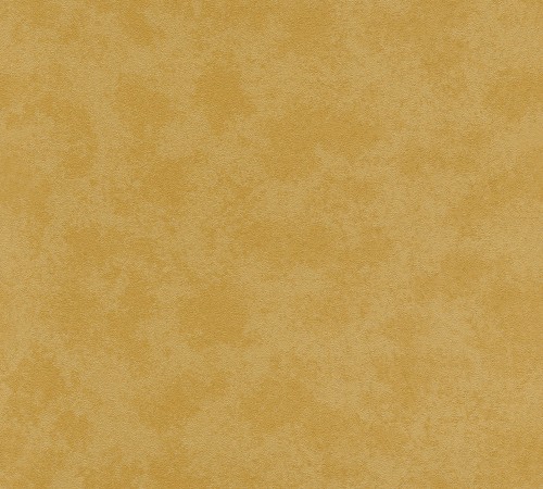 Bild på Versace IV - 93591-3