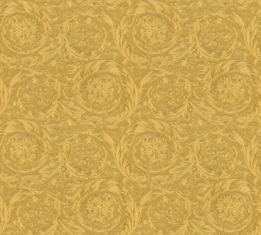 Afbeeldingen van Versace IV - 36692-3