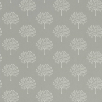 Picture of Marcham Tree Grey Birch - 216901