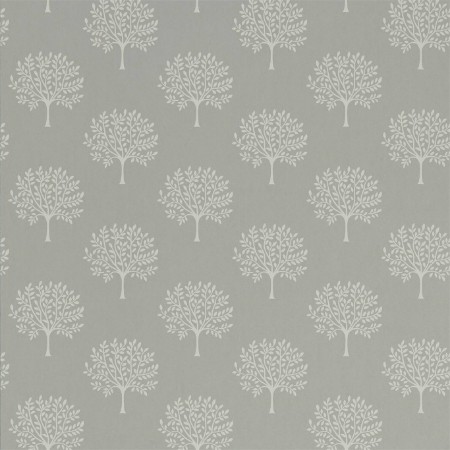 Picture of Marcham Tree Grey Birch - 216901