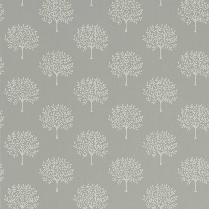 Image de Marcham Tree Grey Birch - 216901