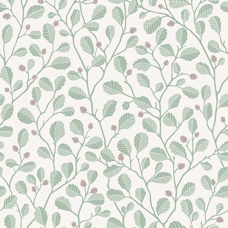 Bild på Borosan Easy-Up 2020 - 38636