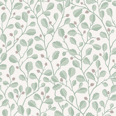 Image de Borosan Easy-Up 2020 - 38636