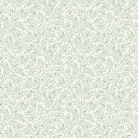 Image de Borosan Easy-Up 2020 - 38606