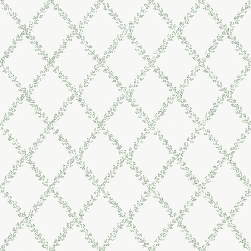 Picture of Borosan Easy-Up 2020 - 38608