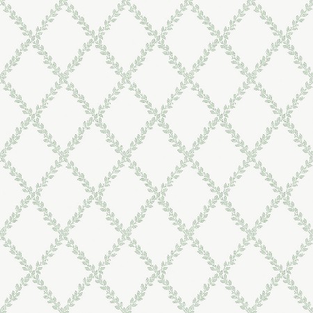 Image de Borosan Easy-Up 2020 - 38608