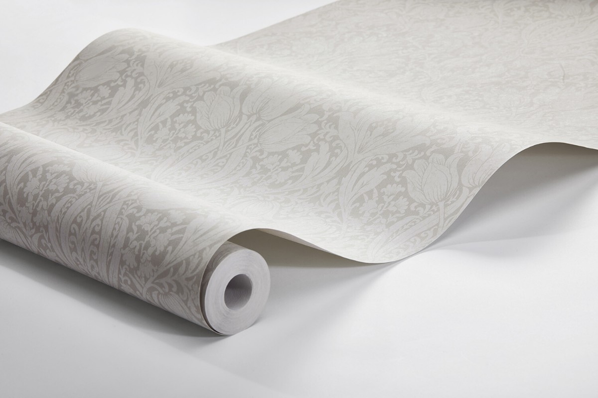 Image de Borosan Easy-Up 2020 - 38602