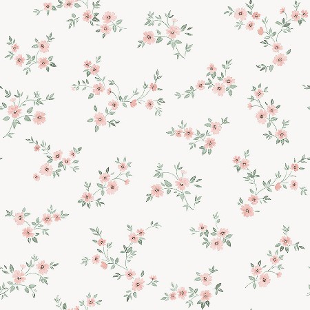 Picture of Borosan Easy-Up 2020 - 38611