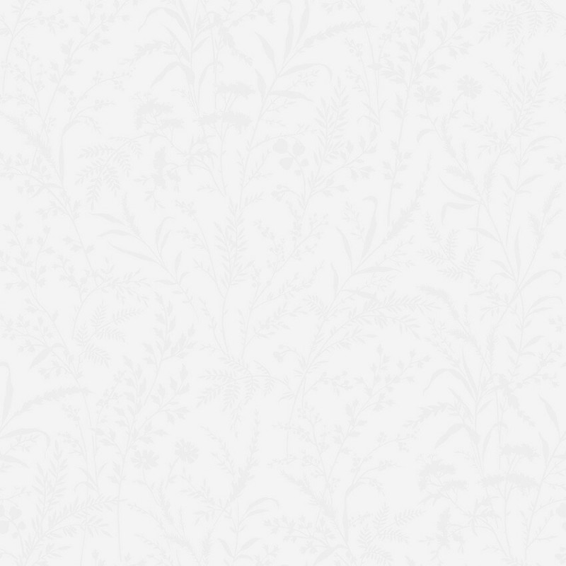 Image de Borosan Easy-Up 2020 - 38613