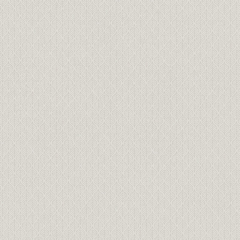 Image de Borosan Easy-Up 2020 - 38621